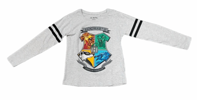 Harry Potter Langarmshirt in grau