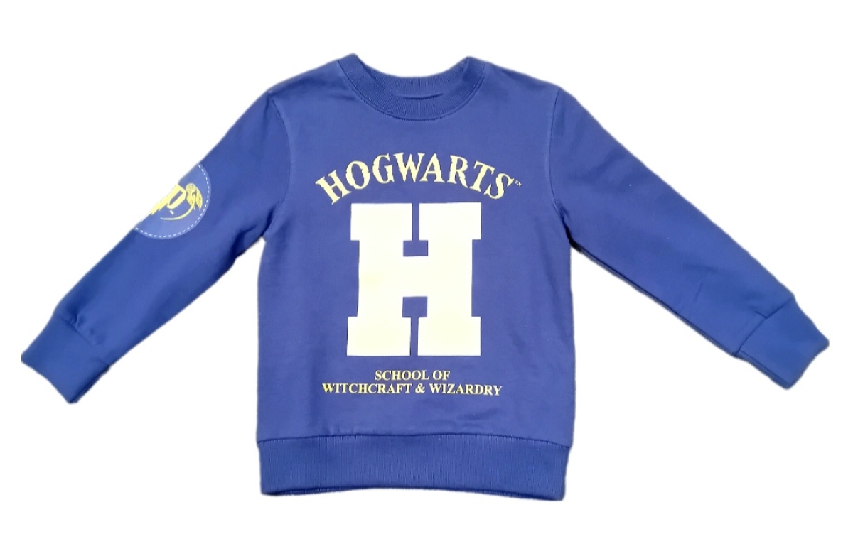 Harry Potter Pullover blau